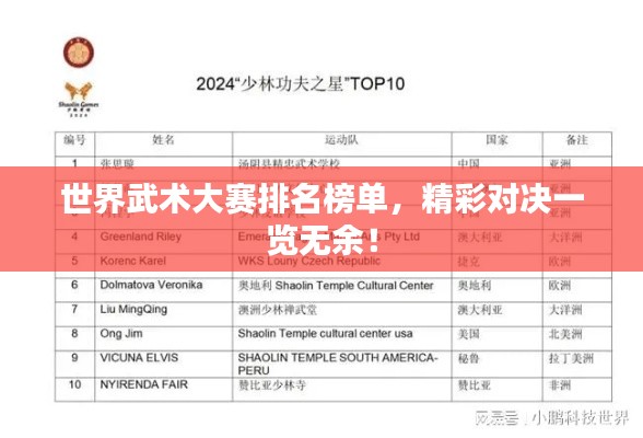 世界武术大赛排名榜单,精彩对决一览无余!
