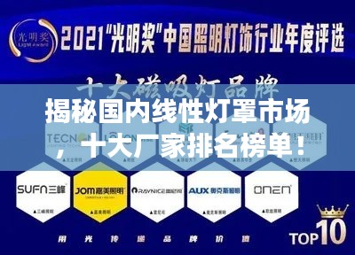 揭秘国内线性灯罩市场,十大厂家排名榜单!
