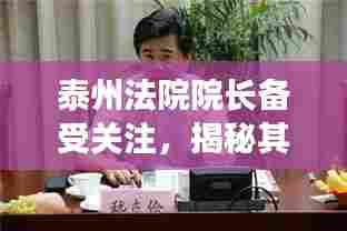 泰州法院院长备受关注,揭秘其职责与成就!
