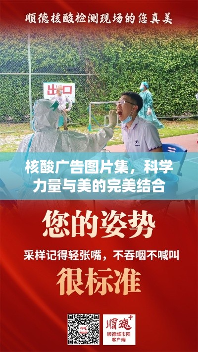 倦鸟知还 第3页