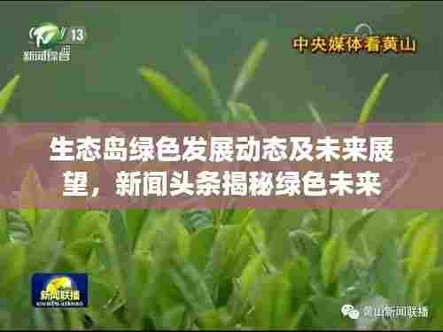 生态岛绿色发展动态及未来展望，新闻头条揭秘绿色未来