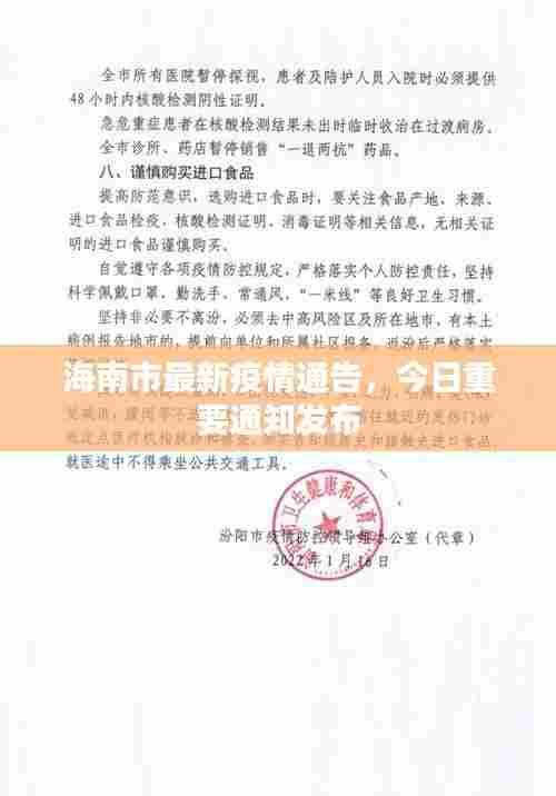 海南市最新疫情通告,今日重要通知发布