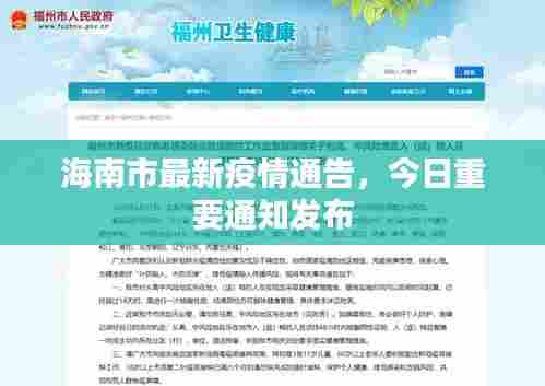 海南市最新疫情通告,今日重要通知发布