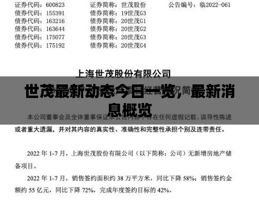 世茂最新动态今日一览,最新消息概览