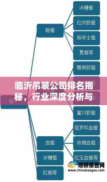 临沂吊装公司排名揭秘，行业深度分析与评估