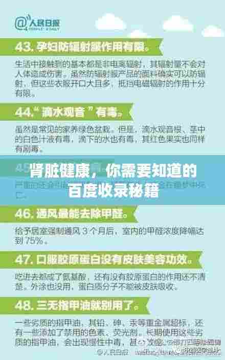 肾脏健康，你需要知道的百度收录秘籍