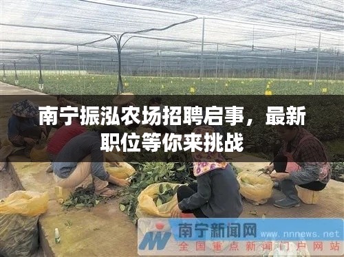 南宁振泓农场招聘启事，最新职位等你来挑战