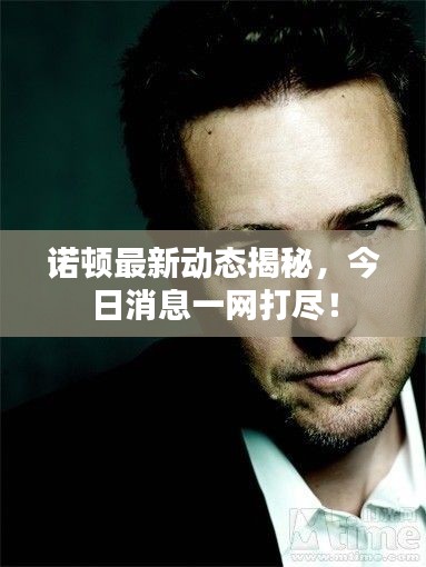 诺顿最新动态揭秘,今日消息一网打尽!