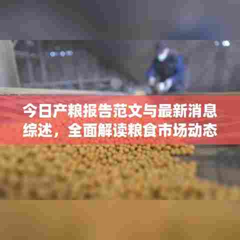 今日产粮报告范文与最新消息综述，全面解读粮食市场动态