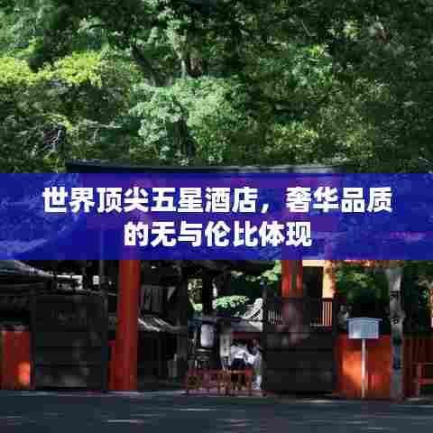 世界顶尖五星酒店，奢华品质的无与伦比体现