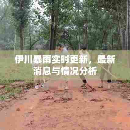 伊川暴雨实时更新，最新消息与情况分析