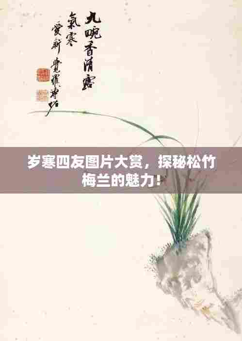 岁寒四友图片大赏，探秘松竹梅兰的魅力！