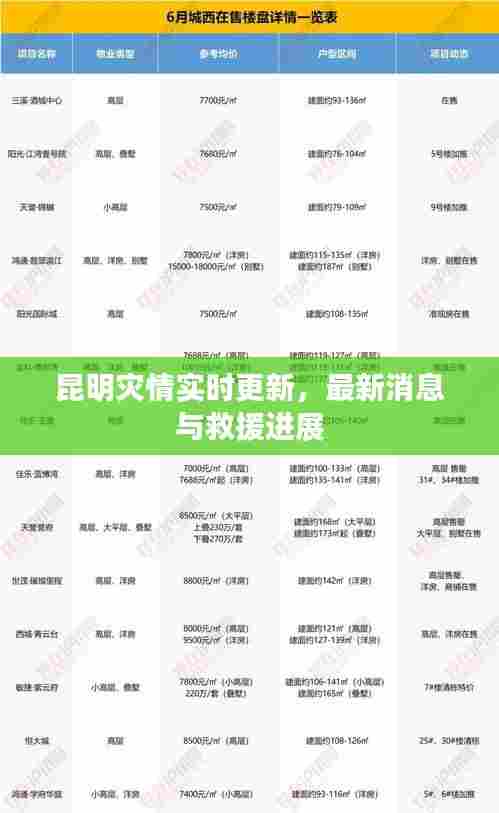 昆明灾情实时更新,最新消息与救援进展