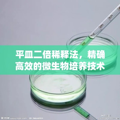 平皿二倍稀释法，精确高效的微生物培养技术揭秘