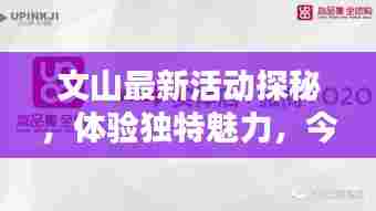 文山最新活动探秘，体验独特魅力，今日头条不容错过