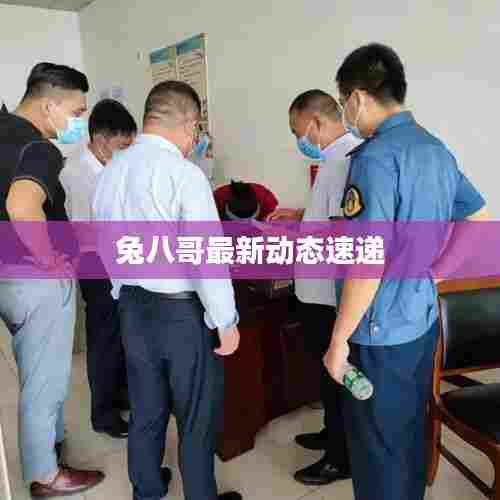 兔八哥最新动态速递