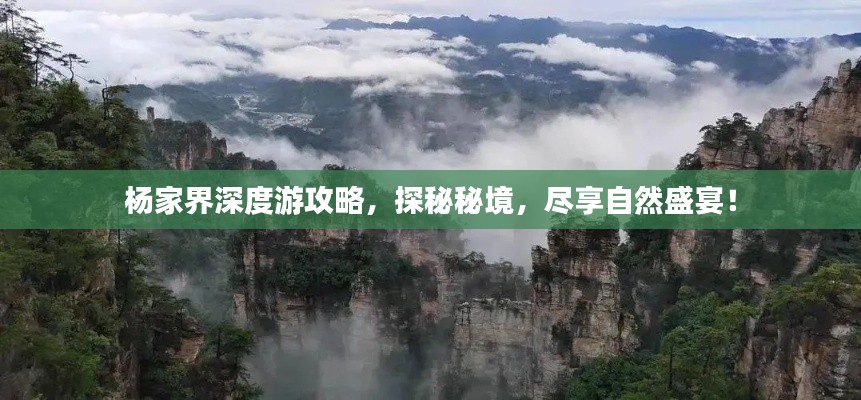 杨家界深度游攻略,探秘秘境,尽享自然盛宴!