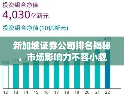 新加坡证券公司排名揭秘，市场影响力不容小觑