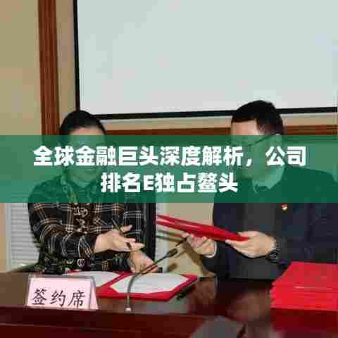 全球金融巨头深度解析，公司排名E独占鳌头