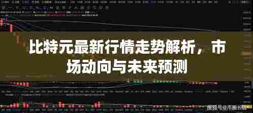 比特元最新行情走势解析,市场动向与未来预测