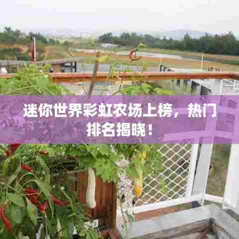 迷你世界彩虹农场上榜,热门排名揭晓!