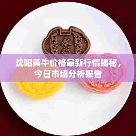 沈阳黄牛价格最新行情揭秘，今日市场分析报告