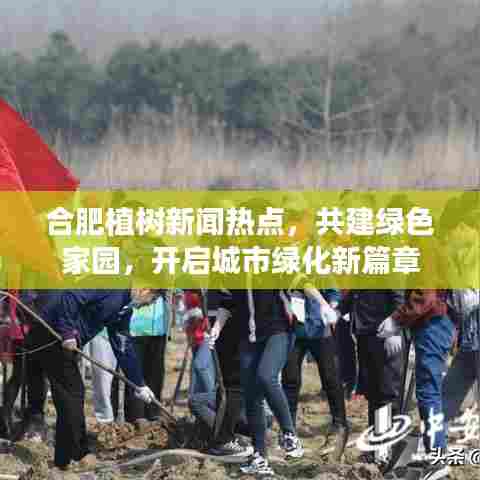 合肥植树新闻热点,共建绿色家园,开启城市绿化新篇章