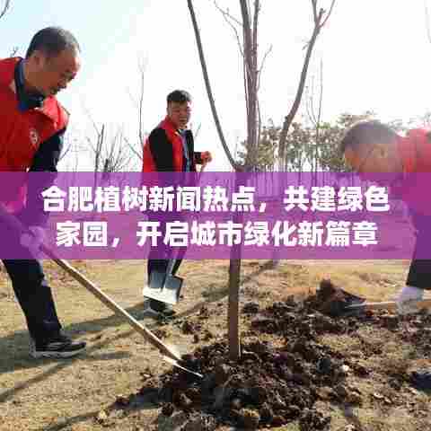 合肥植树新闻热点,共建绿色家园,开启城市绿化新篇章