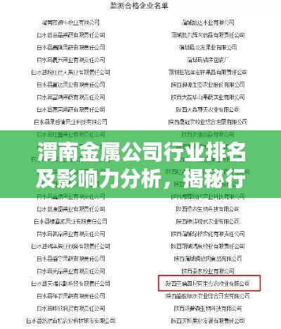 渭南金属公司行业排名及影响力分析,揭秘行业巨头榜单