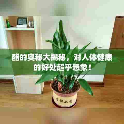 醋的奥秘大揭秘,对人体健康的好处超乎想象!