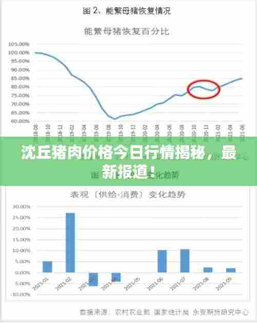 沈丘猪肉价格今日行情揭秘，最新报道！