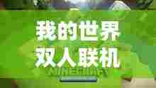 我的世界双人联机实况排行榜揭秘!