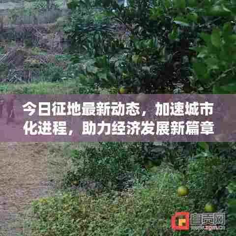 今日征地最新动态,加速城市化进程,助力经济发展新篇章