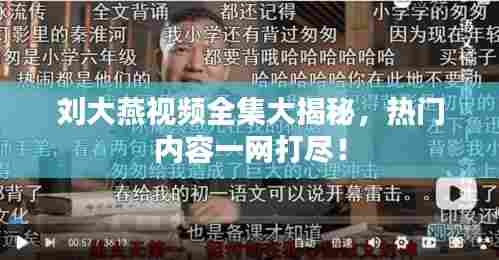 刘大燕视频全集大揭秘,热门内容一网打尽!