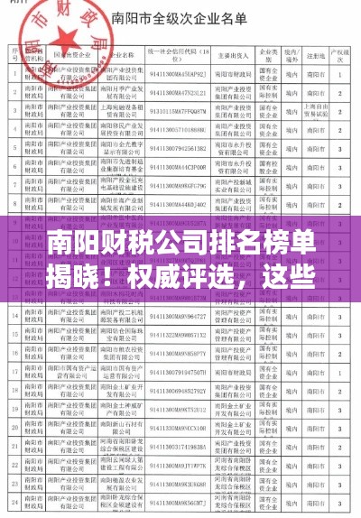 南阳财税公司排名榜单揭晓！权威评选，这些公司脱颖而出