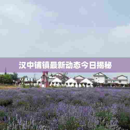 汉中铺镇最新动态今日揭秘