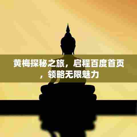 黄梅探秘之旅,启程百度首页,领略无限魅力