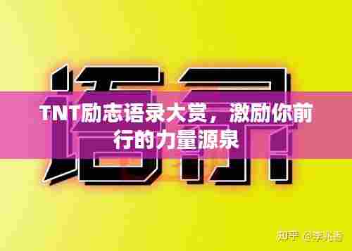 TNT励志语录大赏,激励你前行的力量源泉