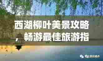 西湖柳叶美景攻略，畅游最佳旅游指南