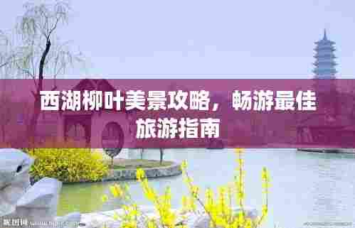 西湖柳叶美景攻略,畅游最佳旅游指南