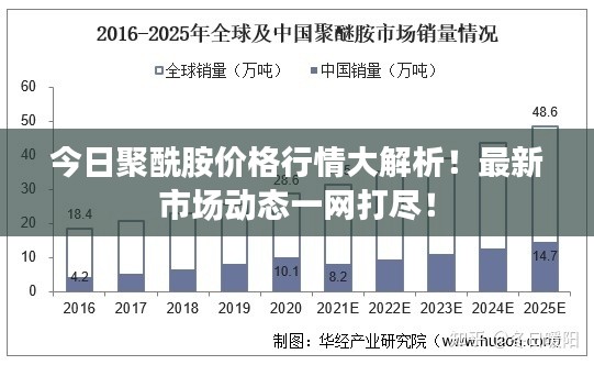 今日聚酰胺价格行情大解析!最新市场动态一网打尽!