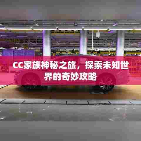 CC家族神秘之旅，探索未知世界的奇妙攻略