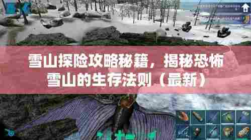 雪山探险攻略秘籍,揭秘恐怖雪山的生存法则(最新)