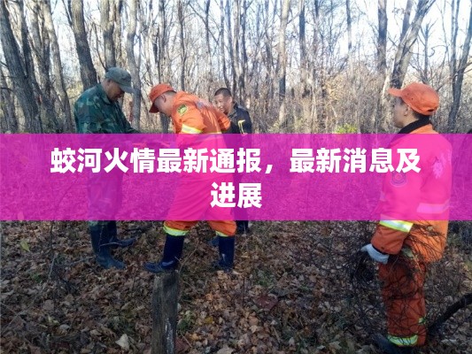 蛟河火情最新通报，最新消息及进展