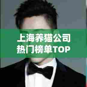 上海养猫公司热门榜单TOP揭秘,专业宠物服务与优质体验引领行业潮流