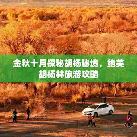 金秋十月探秘胡杨秘境,绝美胡杨林旅游攻略