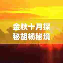 金秋十月探秘胡杨秘境,绝美胡杨林旅游攻略