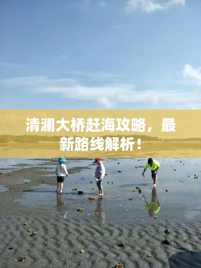 清澜大桥赶海攻略，最新路线解析！