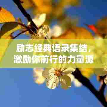 励志经典语录集结，激励你前行的力量源泉