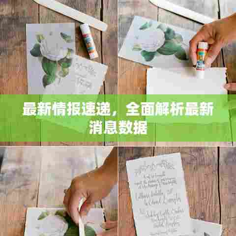 最新情报速递，全面解析最新消息数据